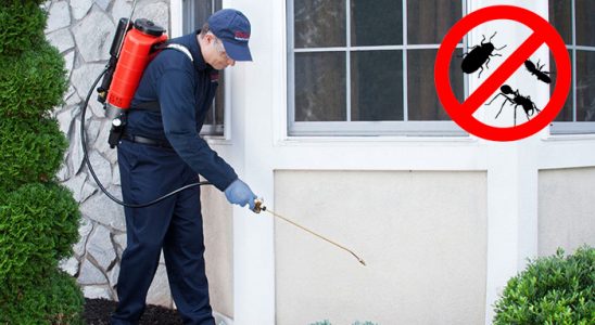 Taşova Dezenfeksiyon böcek ilaçlama ve haşere kontrolü — ilaclama-tr.com